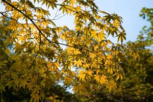  다섯째주 주일 교회둘러보기