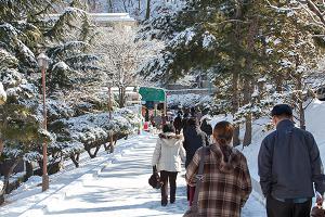  주일 교회 둘러보기