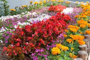  주일 교회 둘러보기