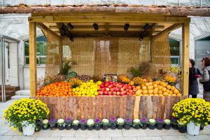  주일 교회 둘러보기