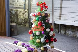  평강가족 성탄축제