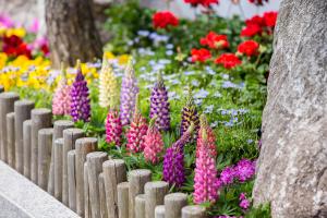   교회 둘러보기(평강의 봄)