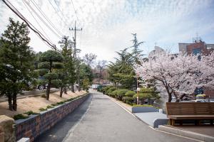   교회 둘러보기(평강의 봄)