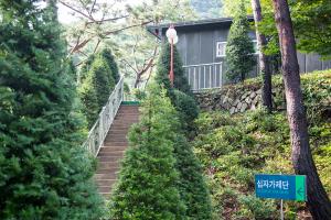  하계대성회 넷째날(둘러보기)