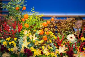  주일 2부 추수감사예배