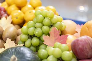  청년2부 그루터기 선교회 추수감사주일