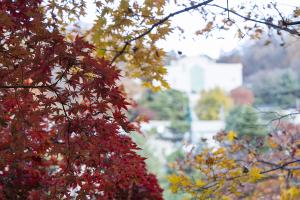  교회 가을 둘러보기