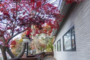  교회 가을 둘러보기